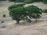 7.30.06 Coyote Wall, Labyrinth 056 